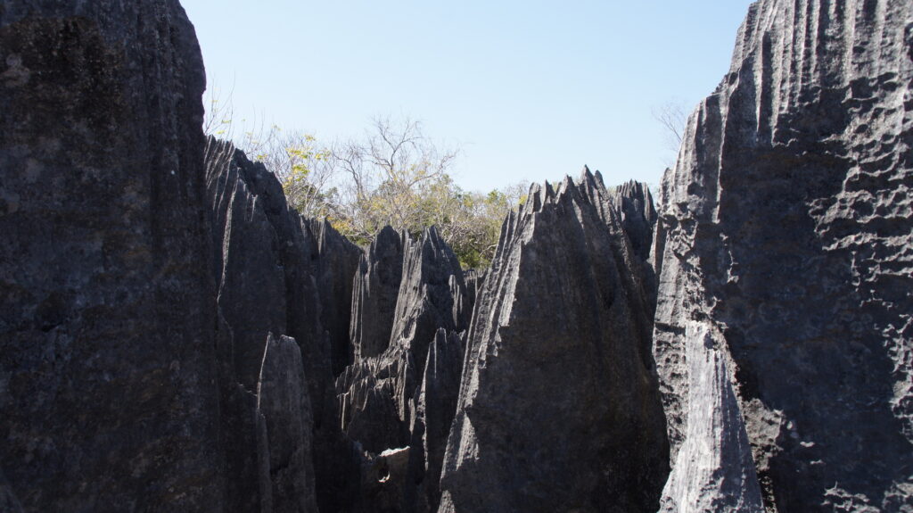 ein Blick in die Tsingys